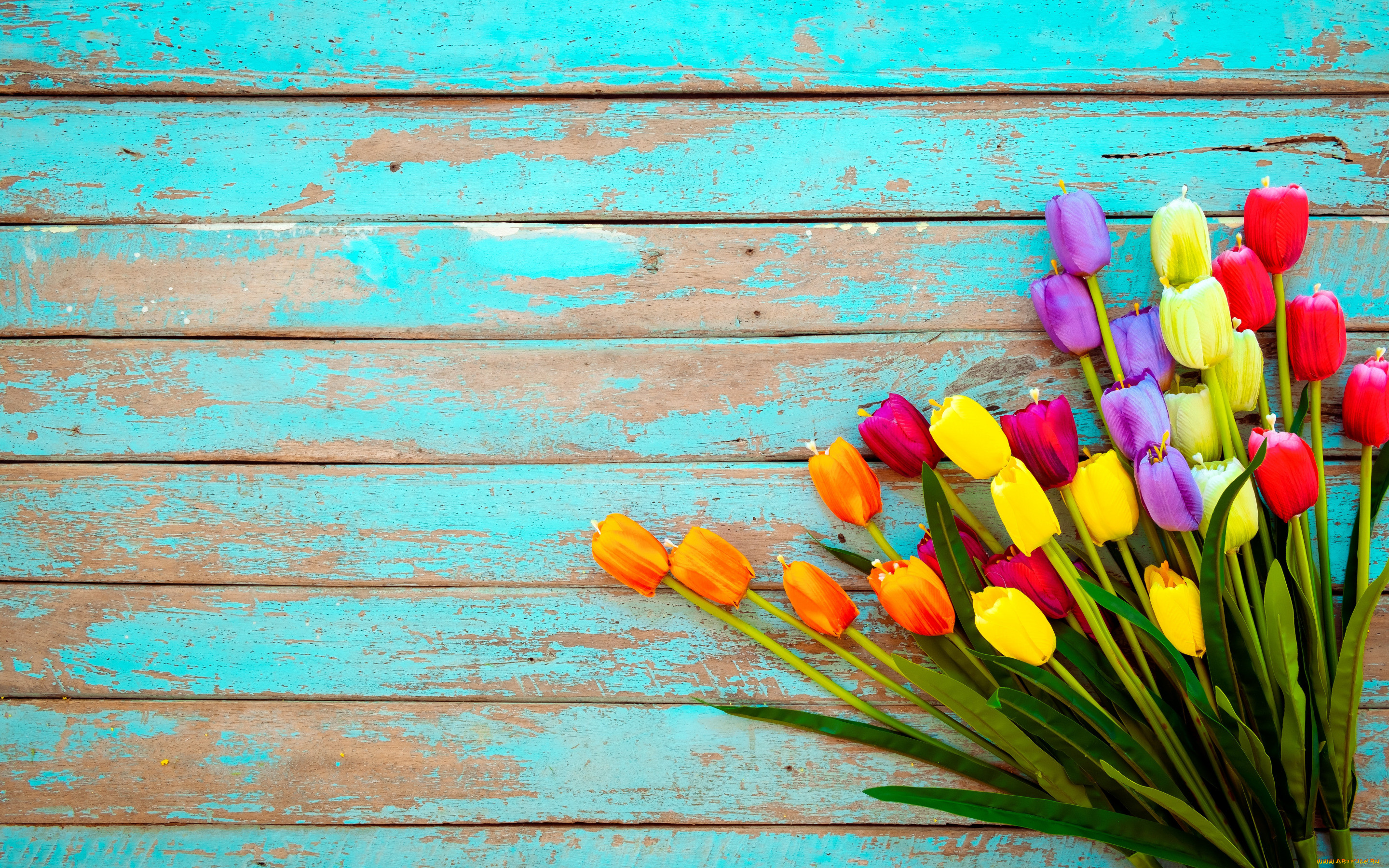 , ,  ,  , , , colorful, , wood, flowers, tulips, grunge
